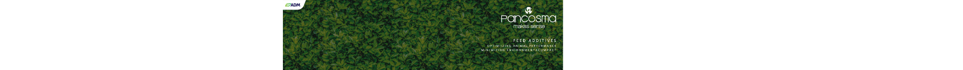 Company cover image
