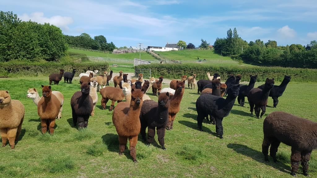 Imagem de apresentação da empresa