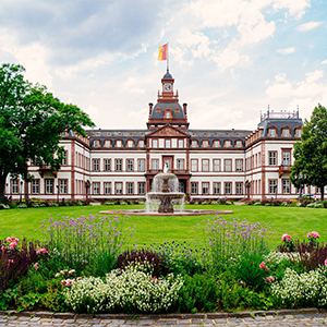 Imagem do fornecedor