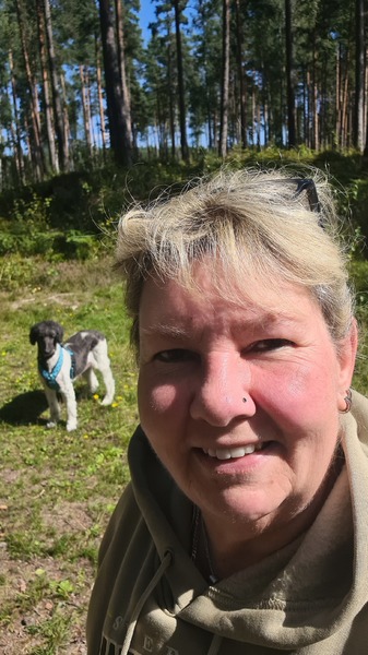 Imagem do fornecedor