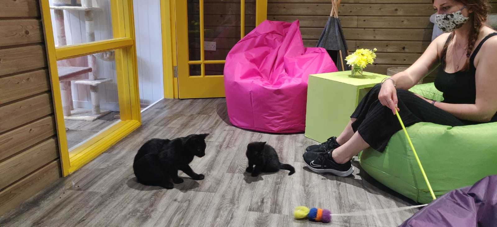 Imagem do fornecedor