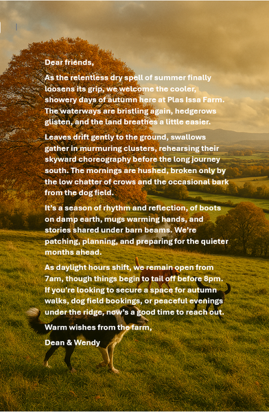 Autumn has arrived at Plas Issa Farm