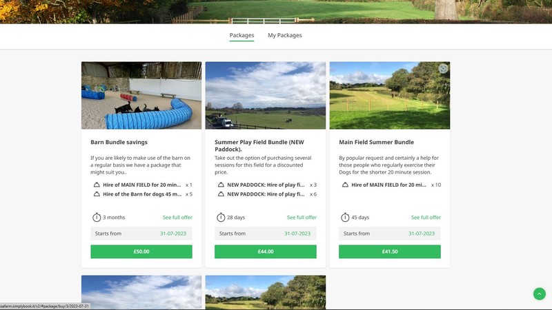 Sample screen of the packages section in this booking site..