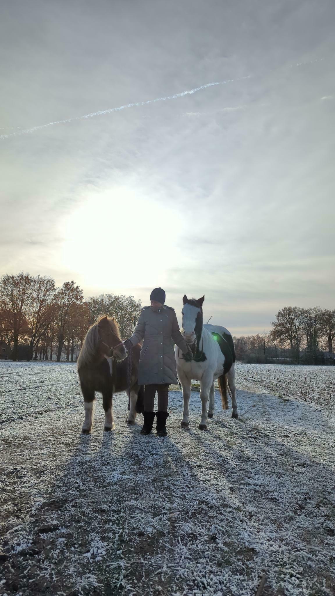 Imagem do fornecedor