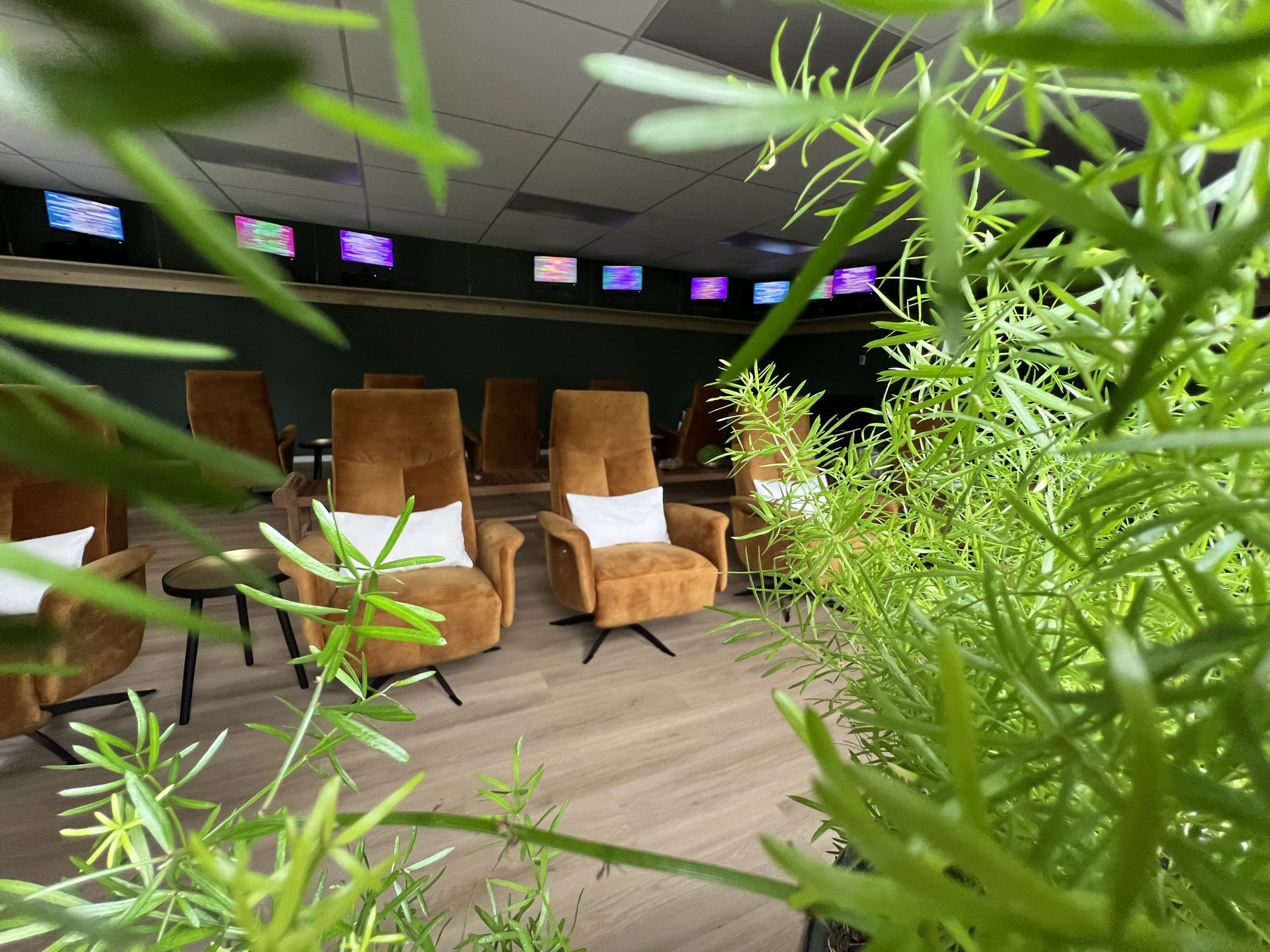 Imagem de apresentação da empresa