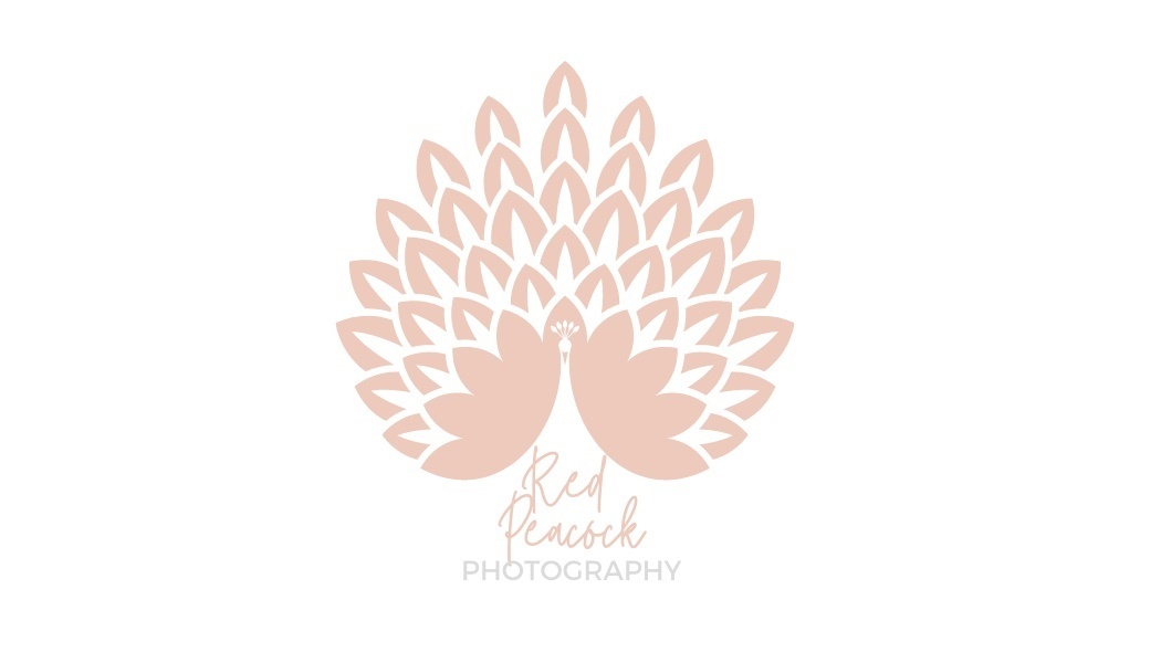 Company cover image