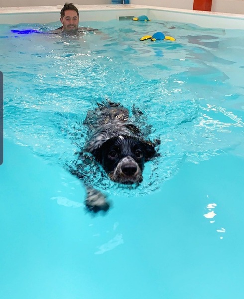 Schedule online with Red Rover Dog Fun Pool on Booking.page
