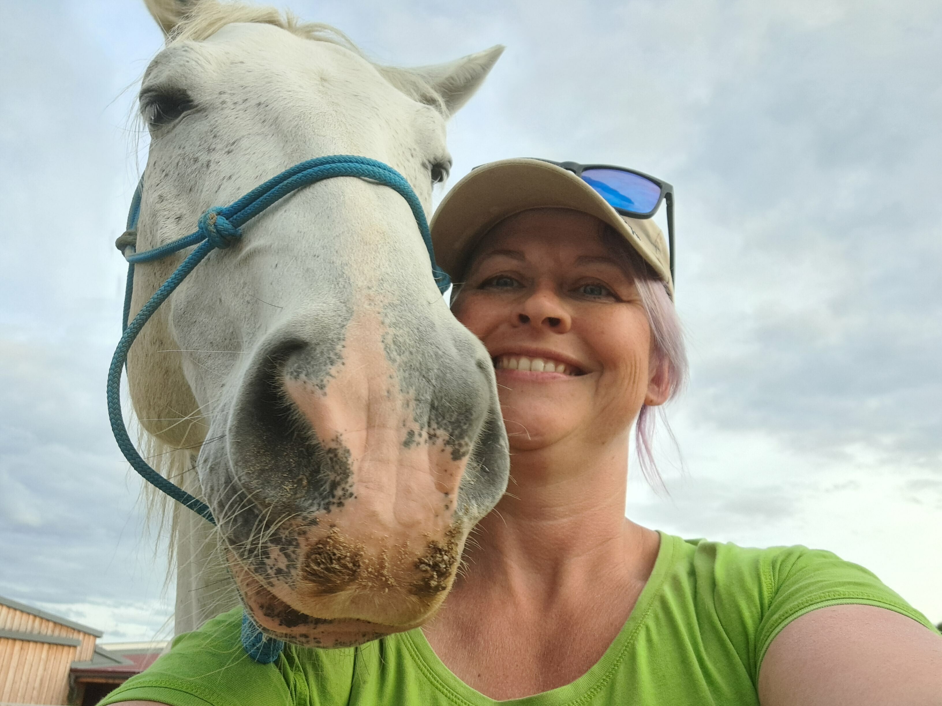 Imagem do fornecedor