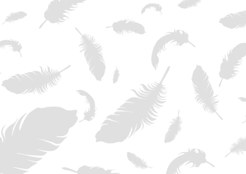 Imagem de apresentação da empresa