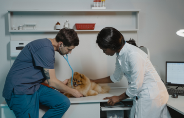 Provider image