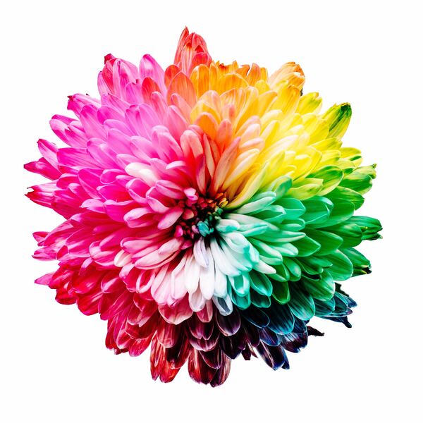 Service image