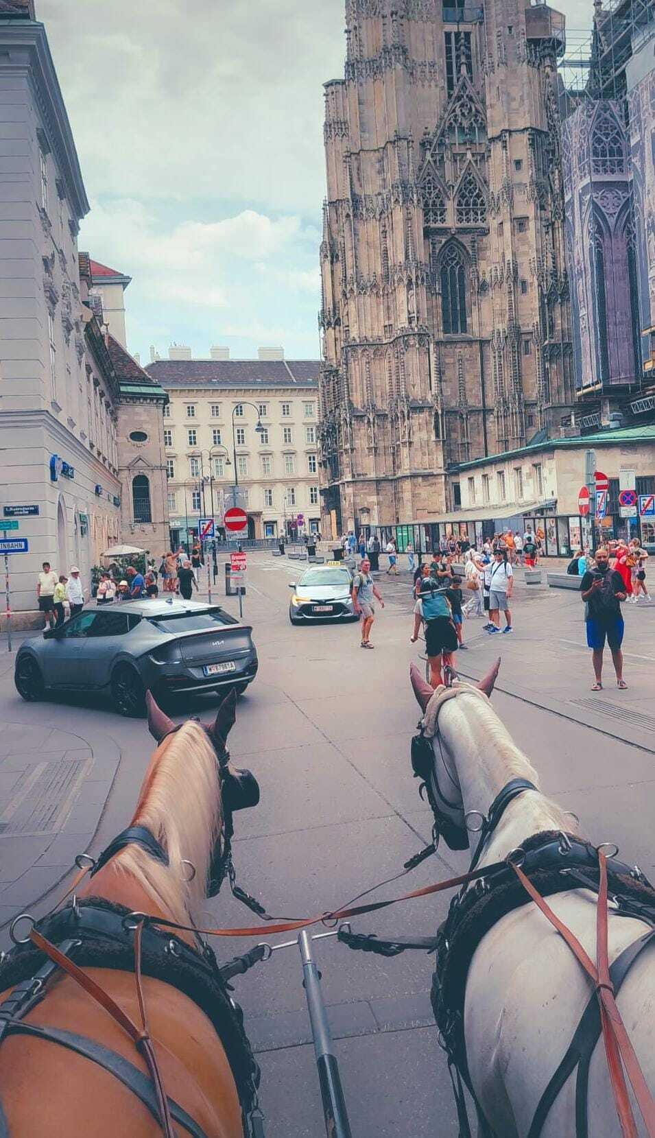 Imagem do serviço 