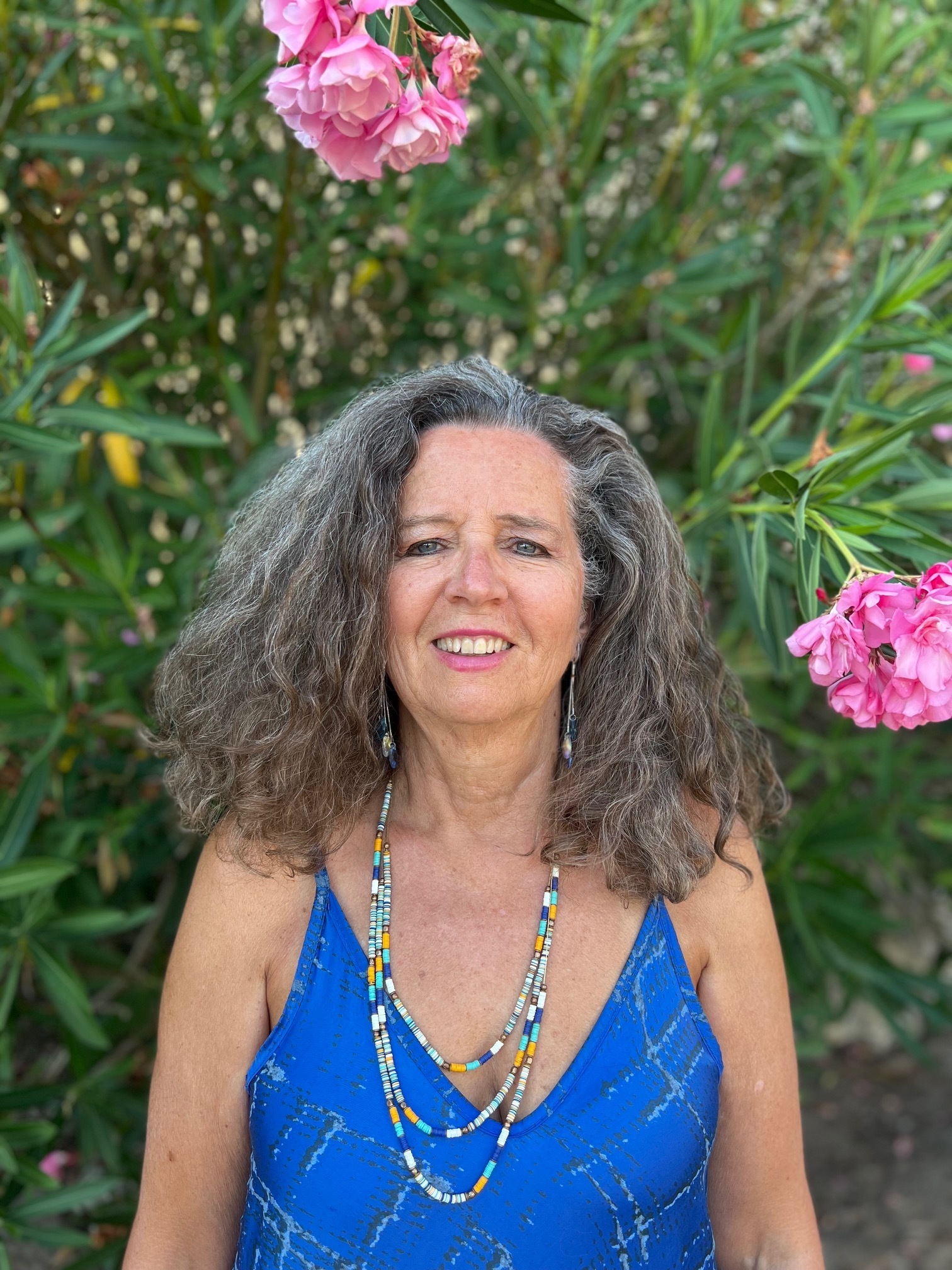 Imagem do fornecedor