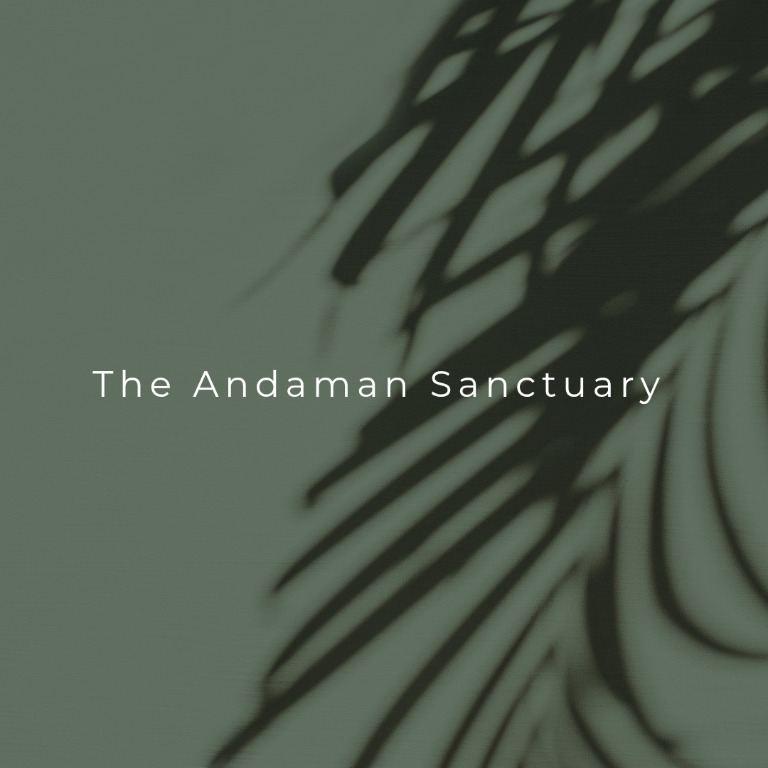 Imagem de apresentação da empresa