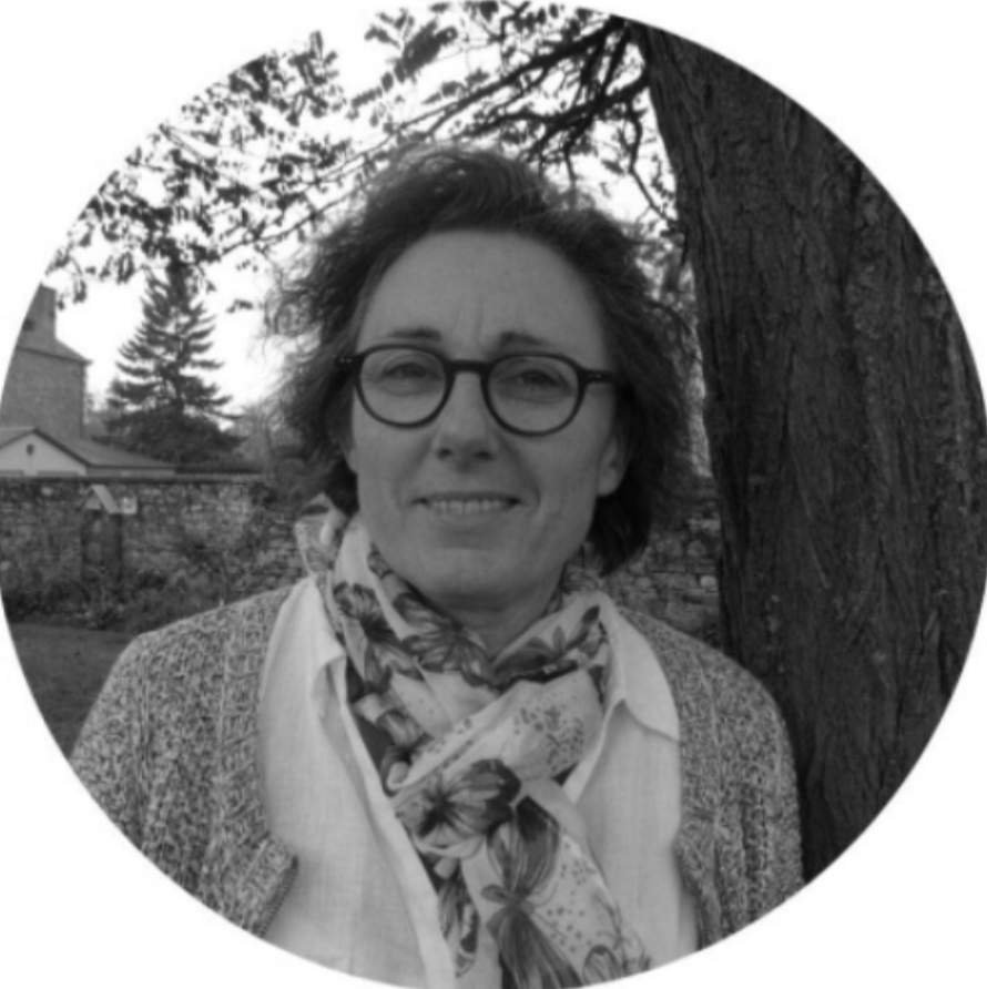 Imagem do fornecedor