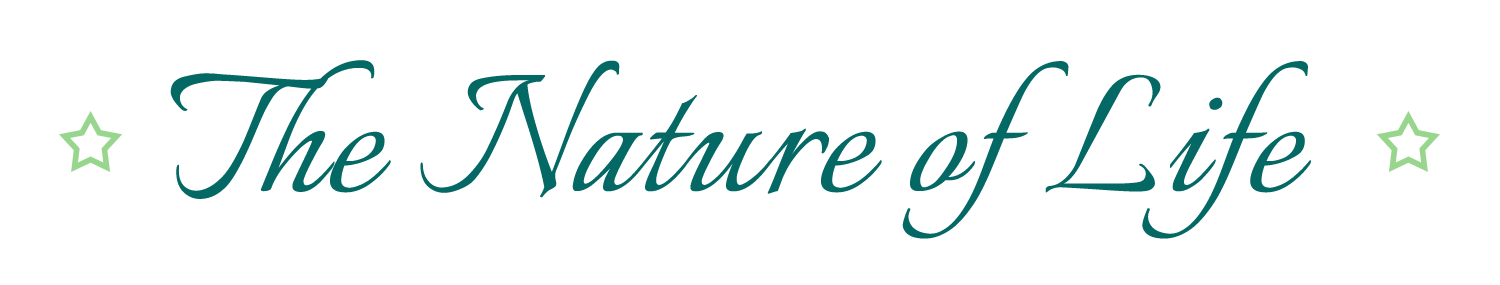 Imagem de apresentação da empresa