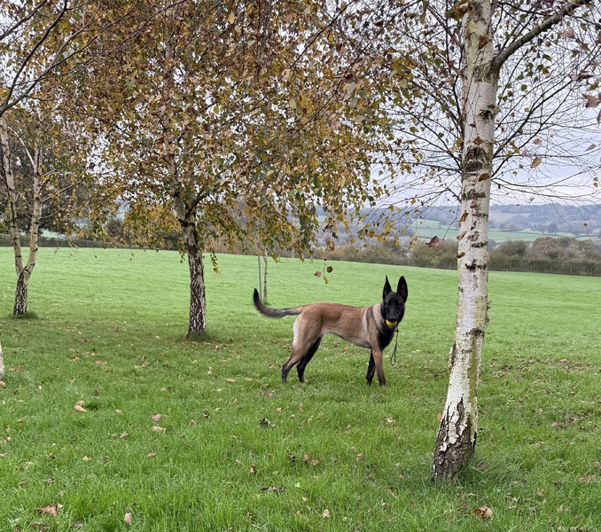 Imagem do fornecedor