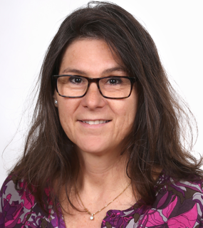 Imagem do fornecedor