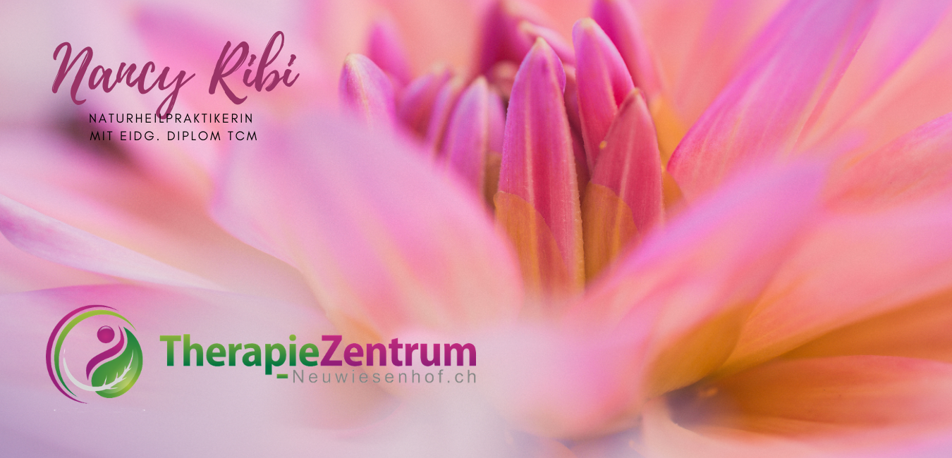 Imagem de apresentação da empresa