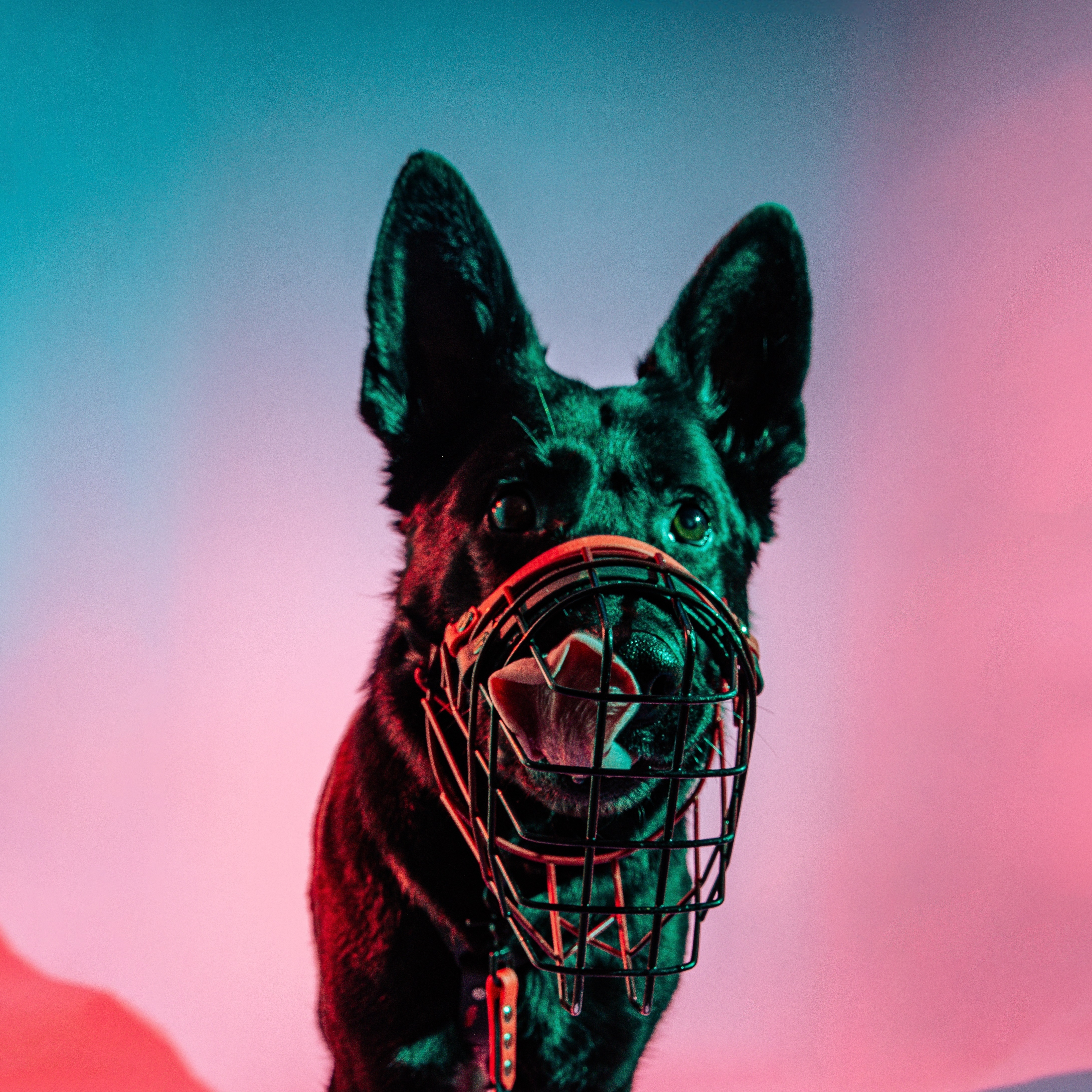 Imagem de apresentação da empresa