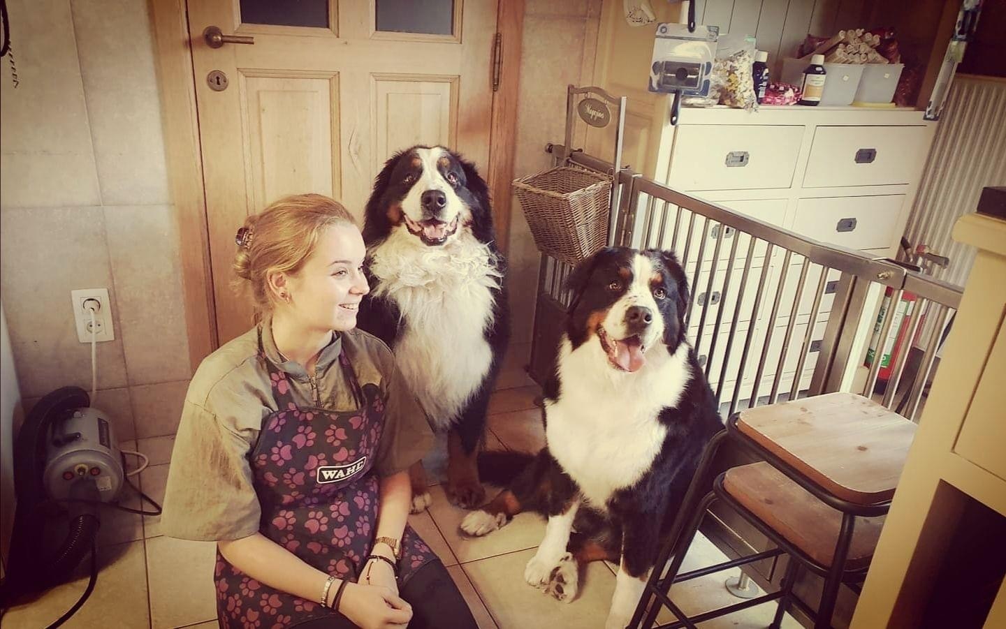 Imagem do fornecedor