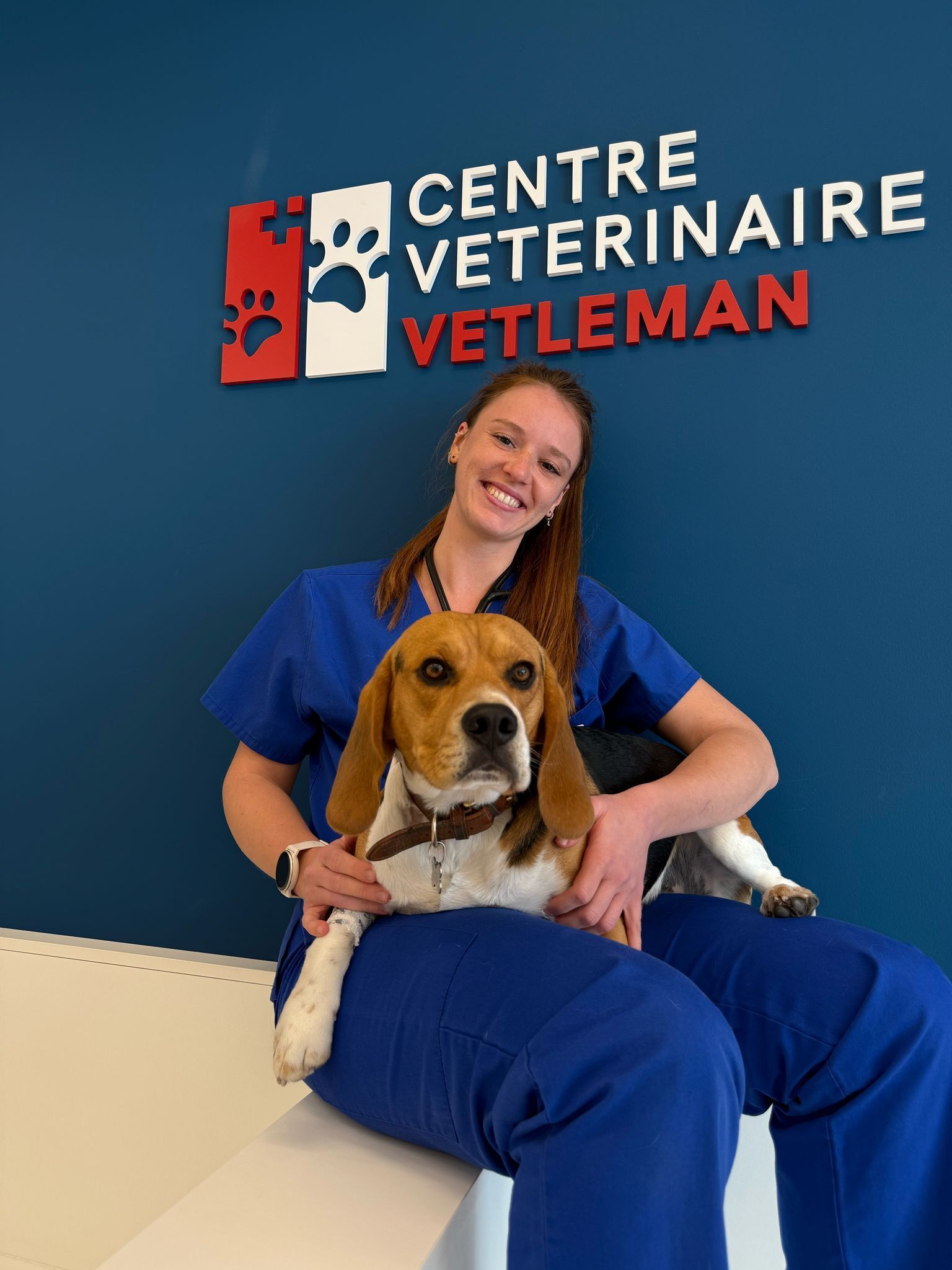 Imagem do fornecedor