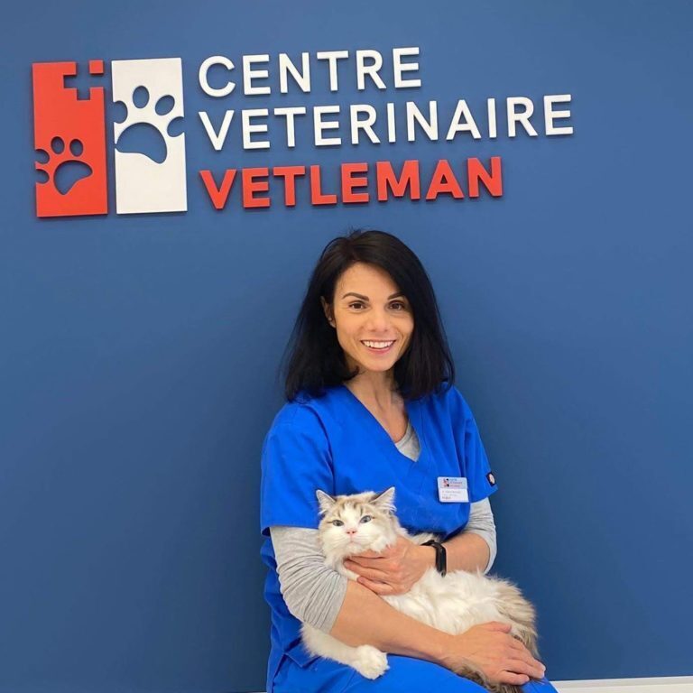 Imagem do fornecedor