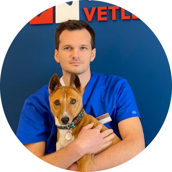 Imagem do fornecedor