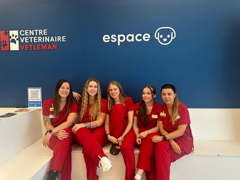 Imagem do fornecedor