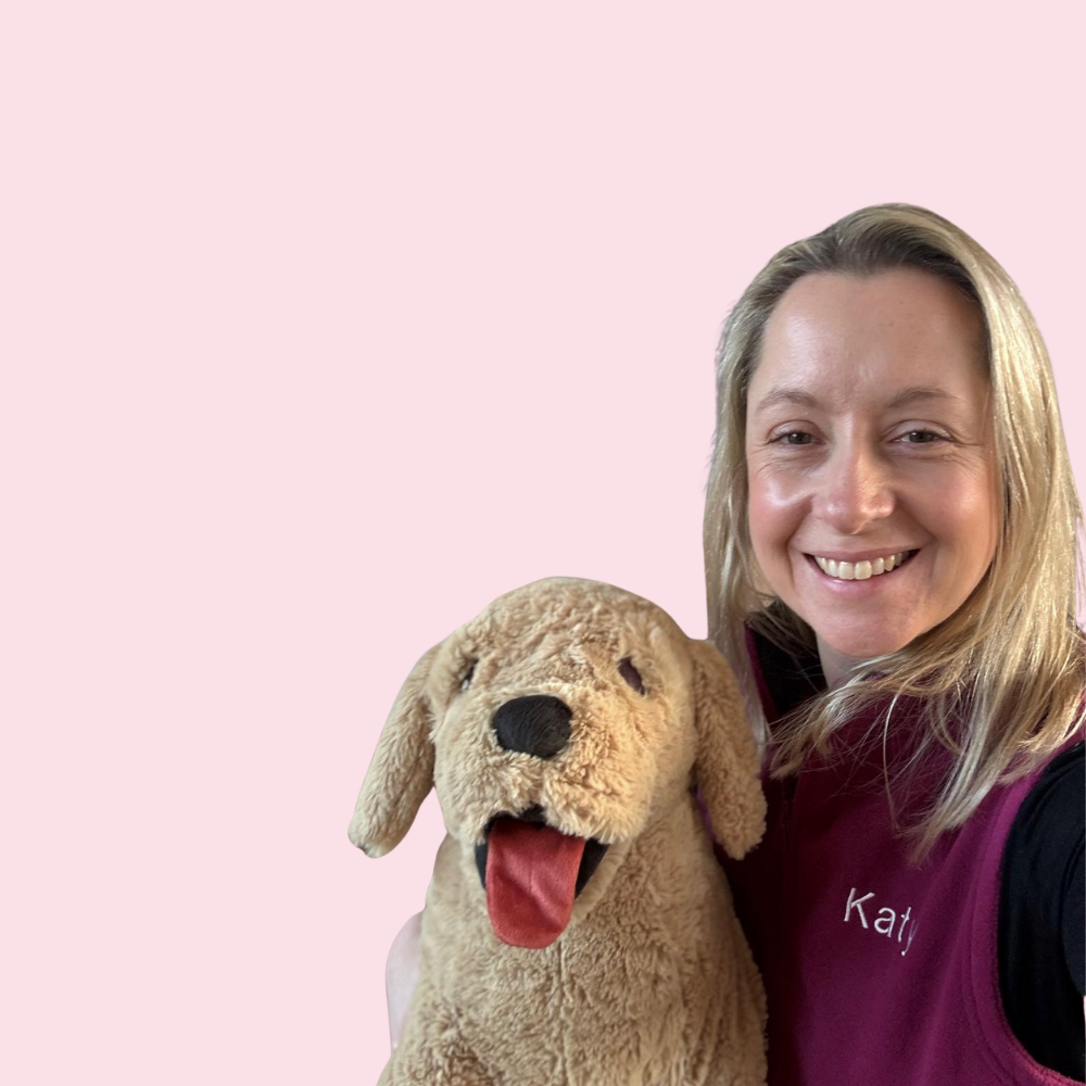 Imagem do fornecedor