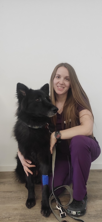 Imagem do fornecedor