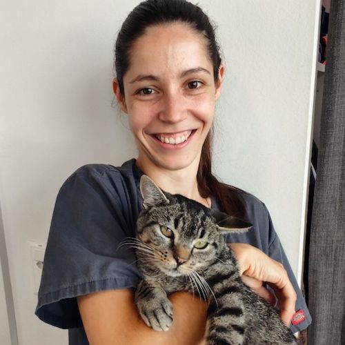 Imagem do fornecedor