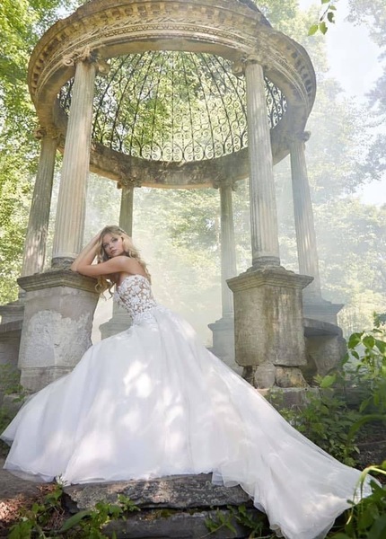 Imagem do fornecedor