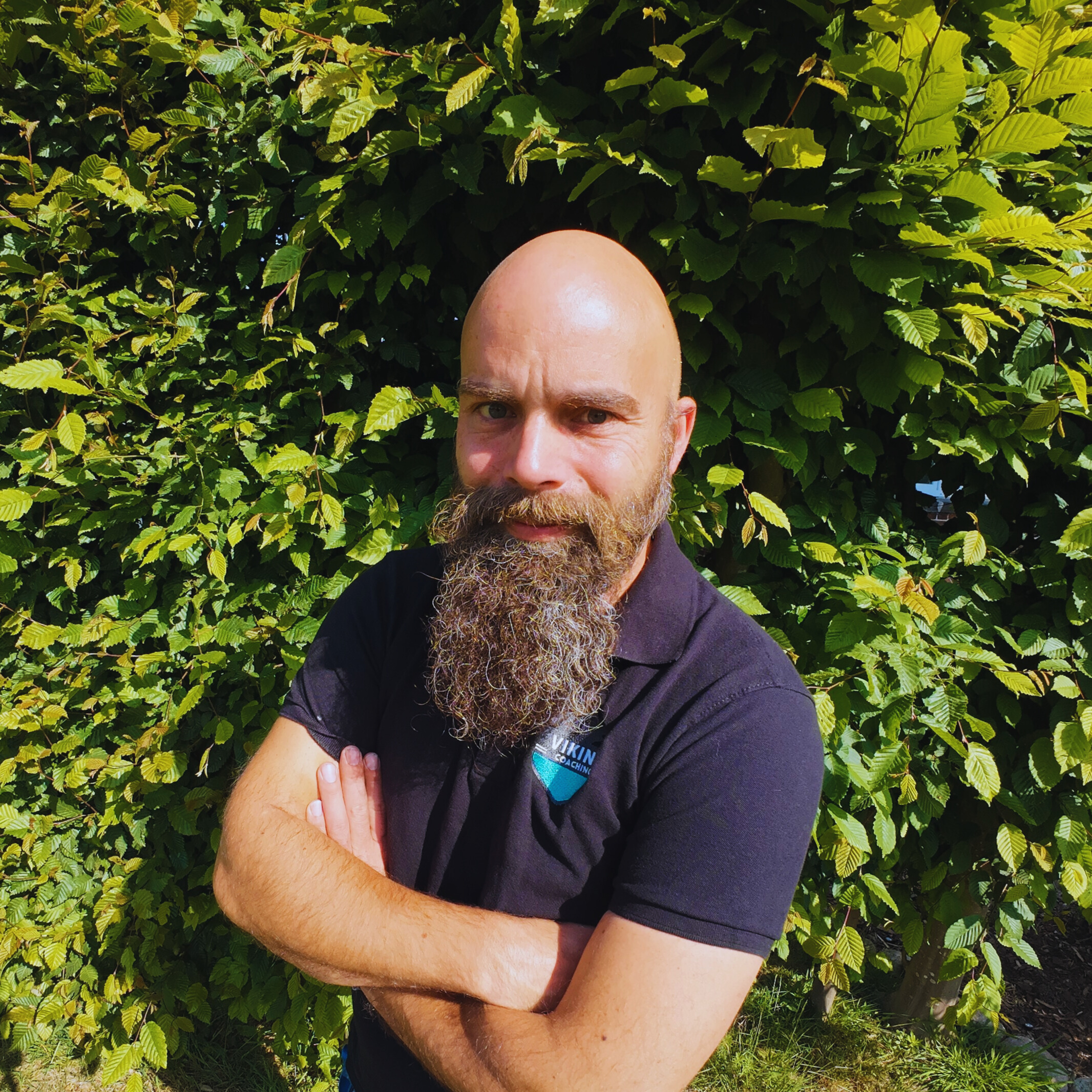 Imagem do fornecedor