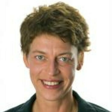 Imagem do fornecedor