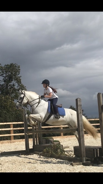 Imagem do fornecedor