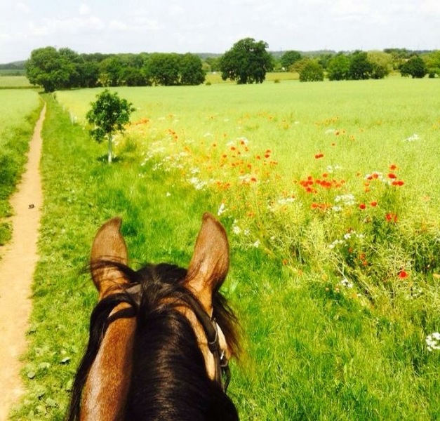 Imagem do fornecedor