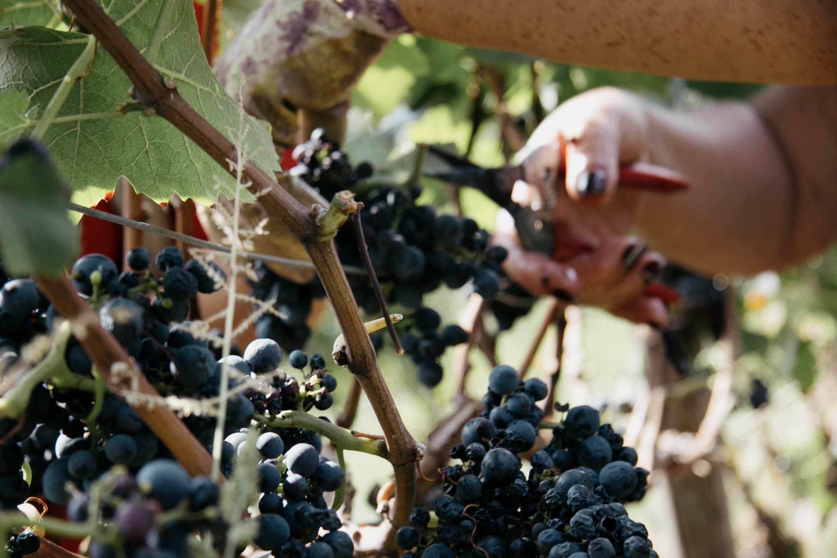 Imagem de apresentação da empresa