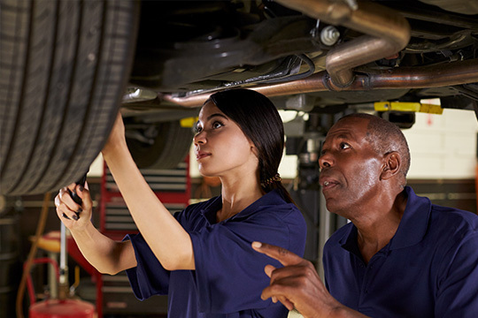 Imagem do fornecedor