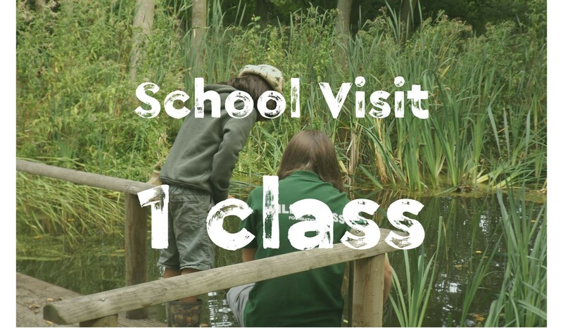 Imagem do fornecedor