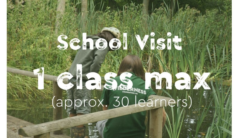 Imagem do fornecedor