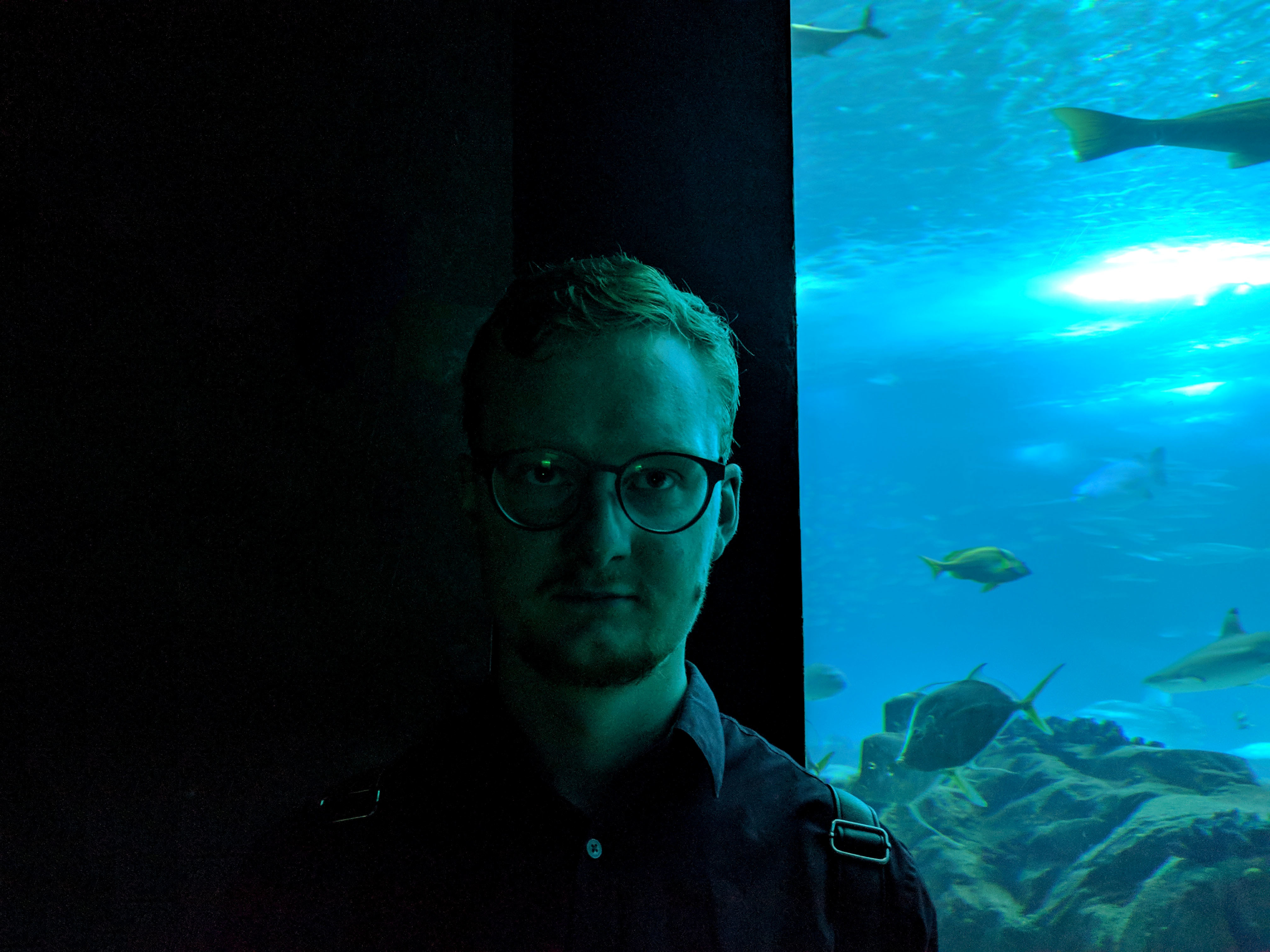 Imagem do fornecedor