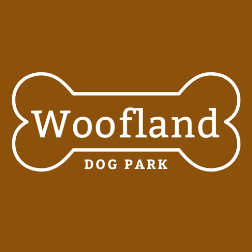 Imagem da promoção 