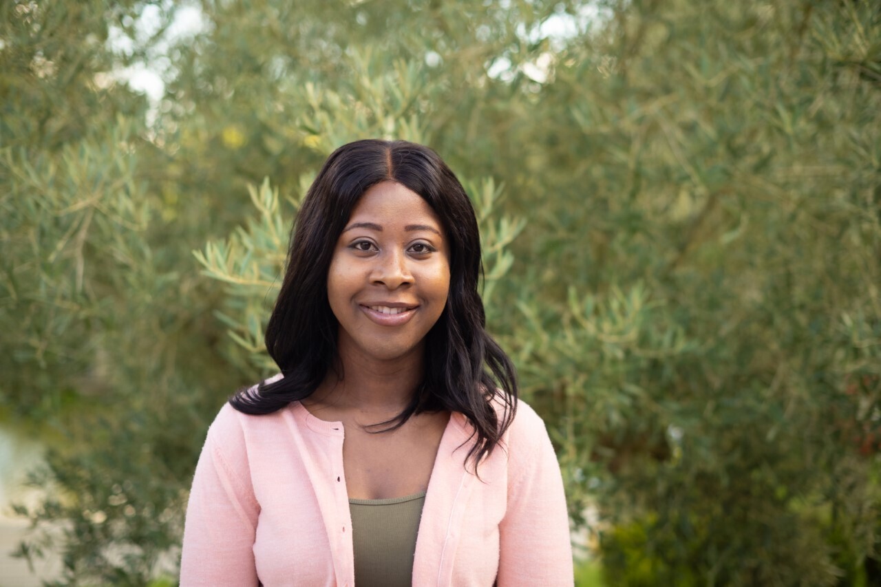 Imagem do fornecedor