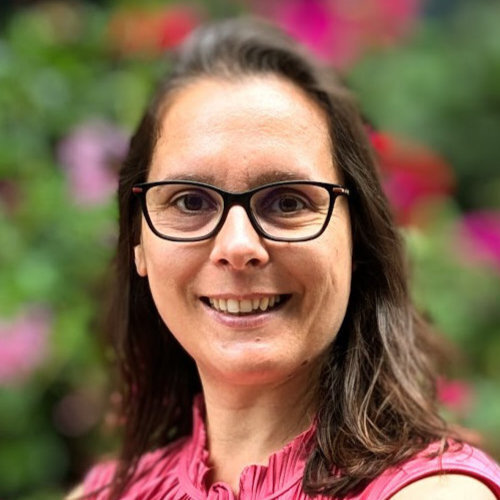 Imagem do fornecedor