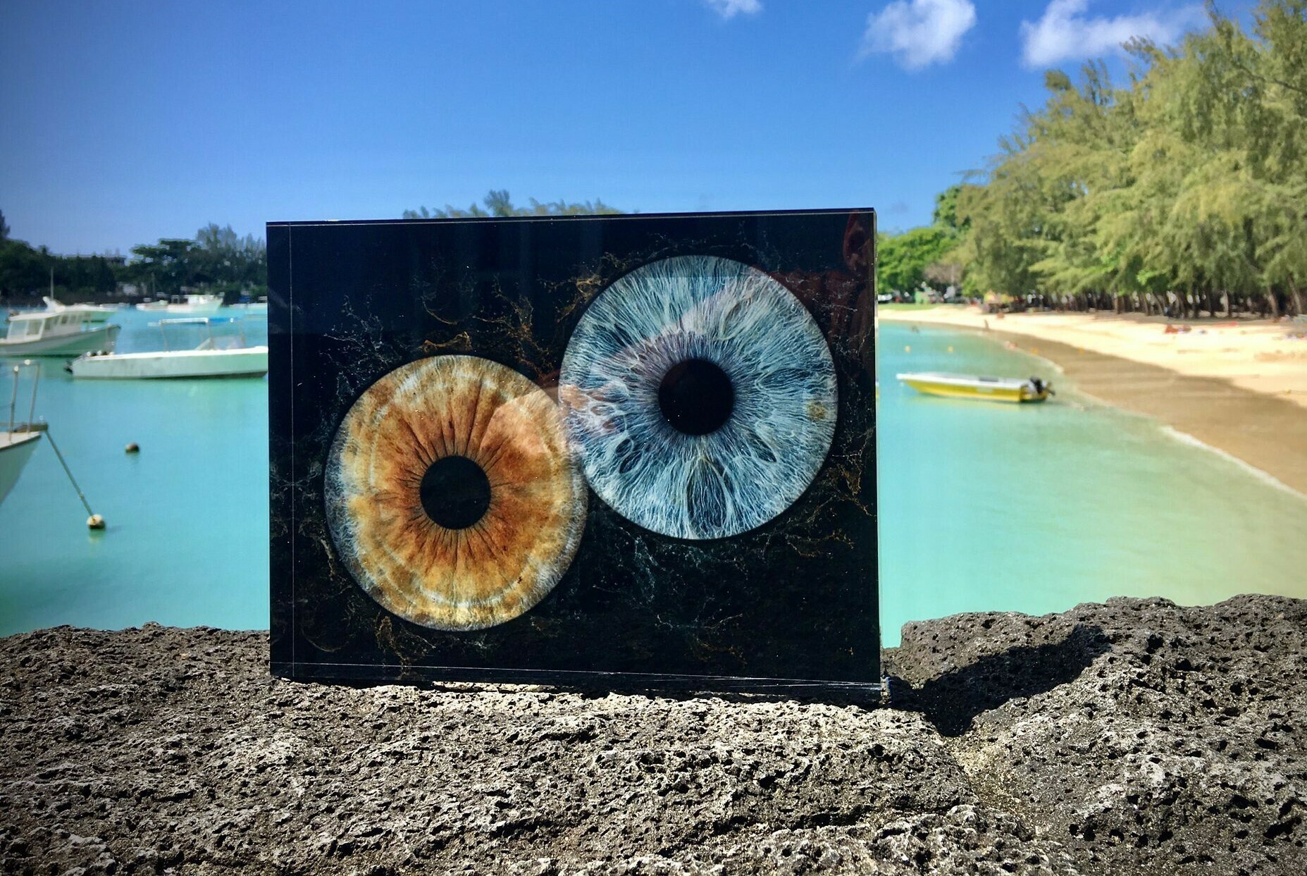 Imagem do fornecedor