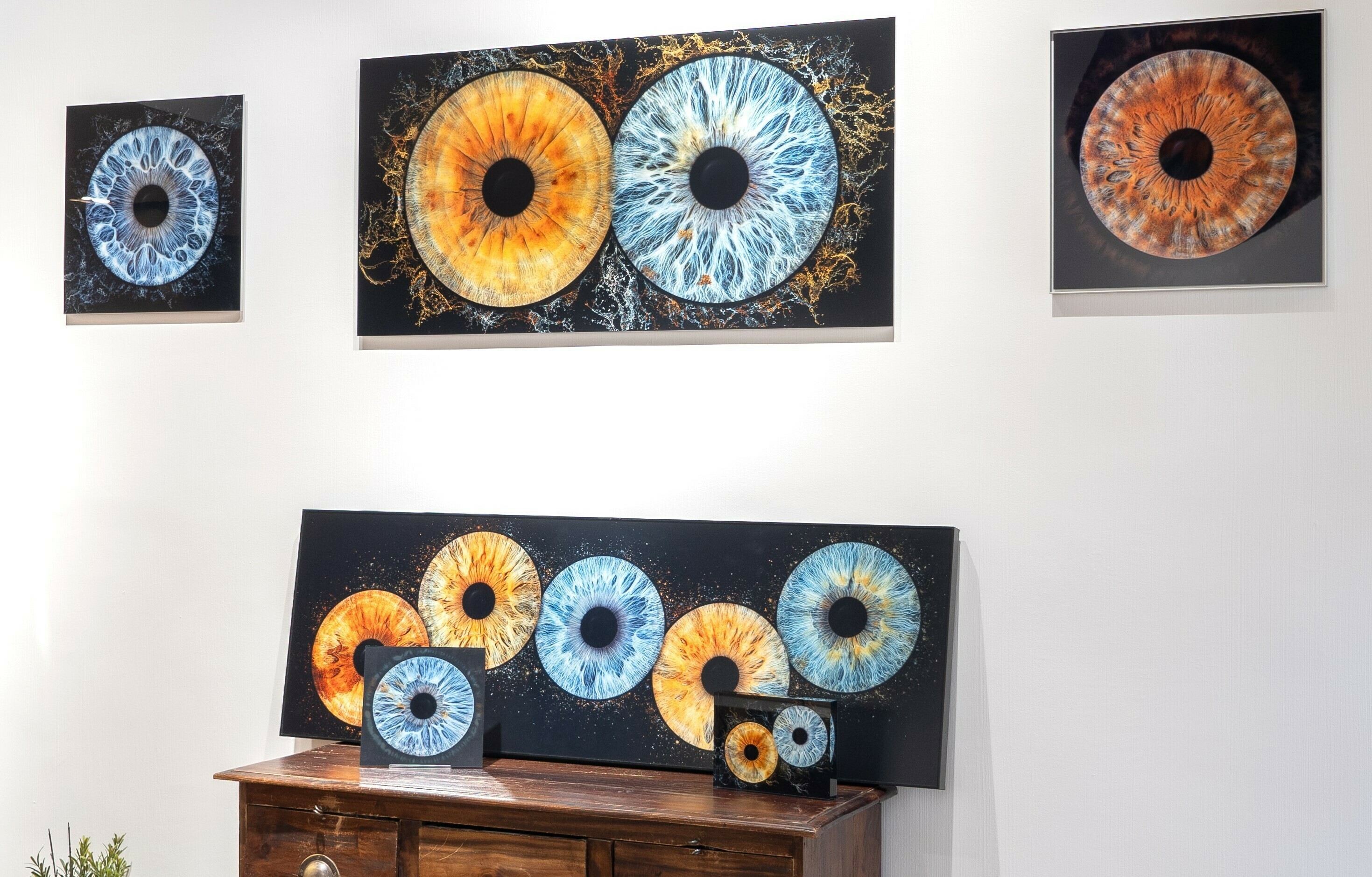 Imagem do fornecedor