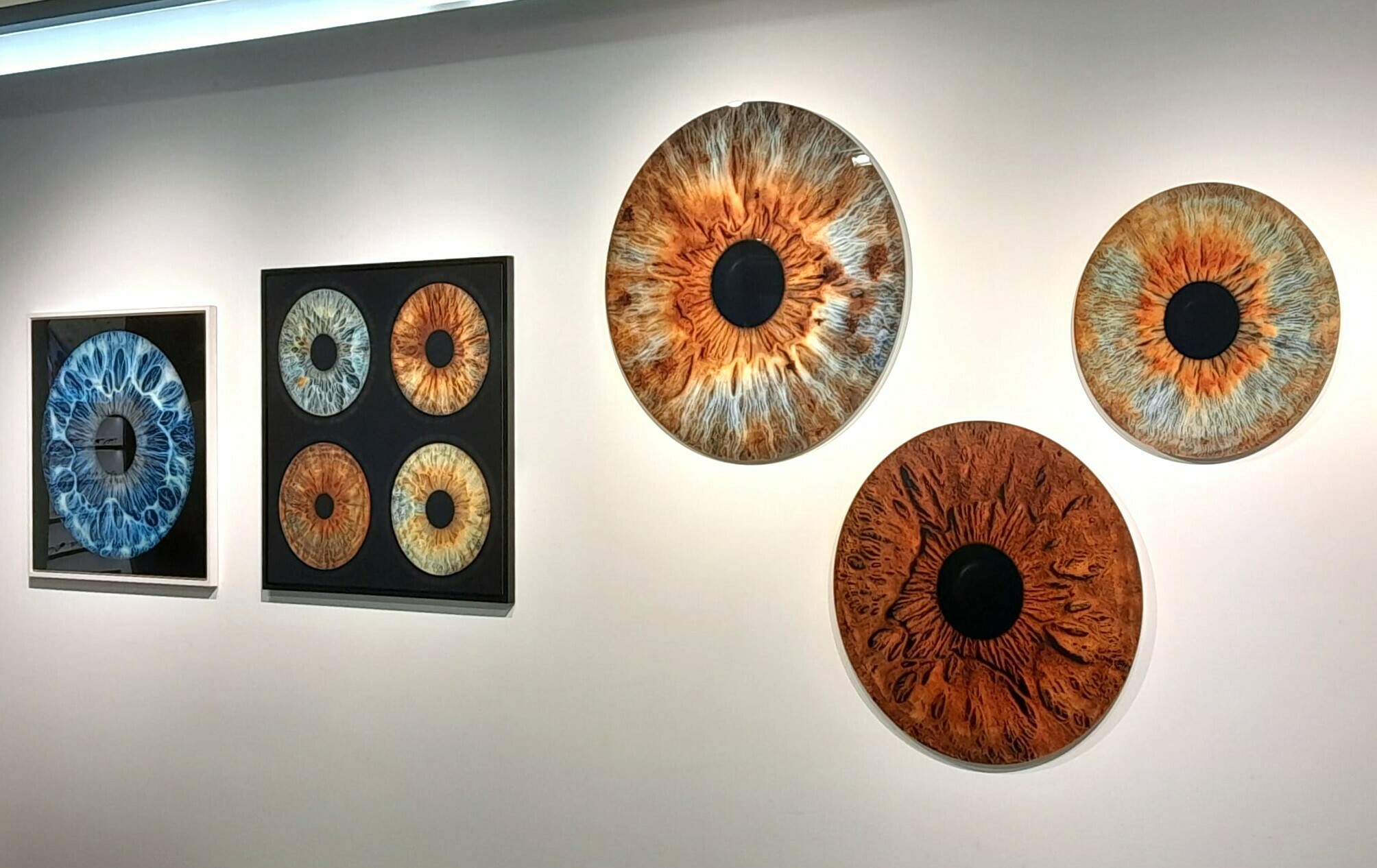 Imagem do fornecedor