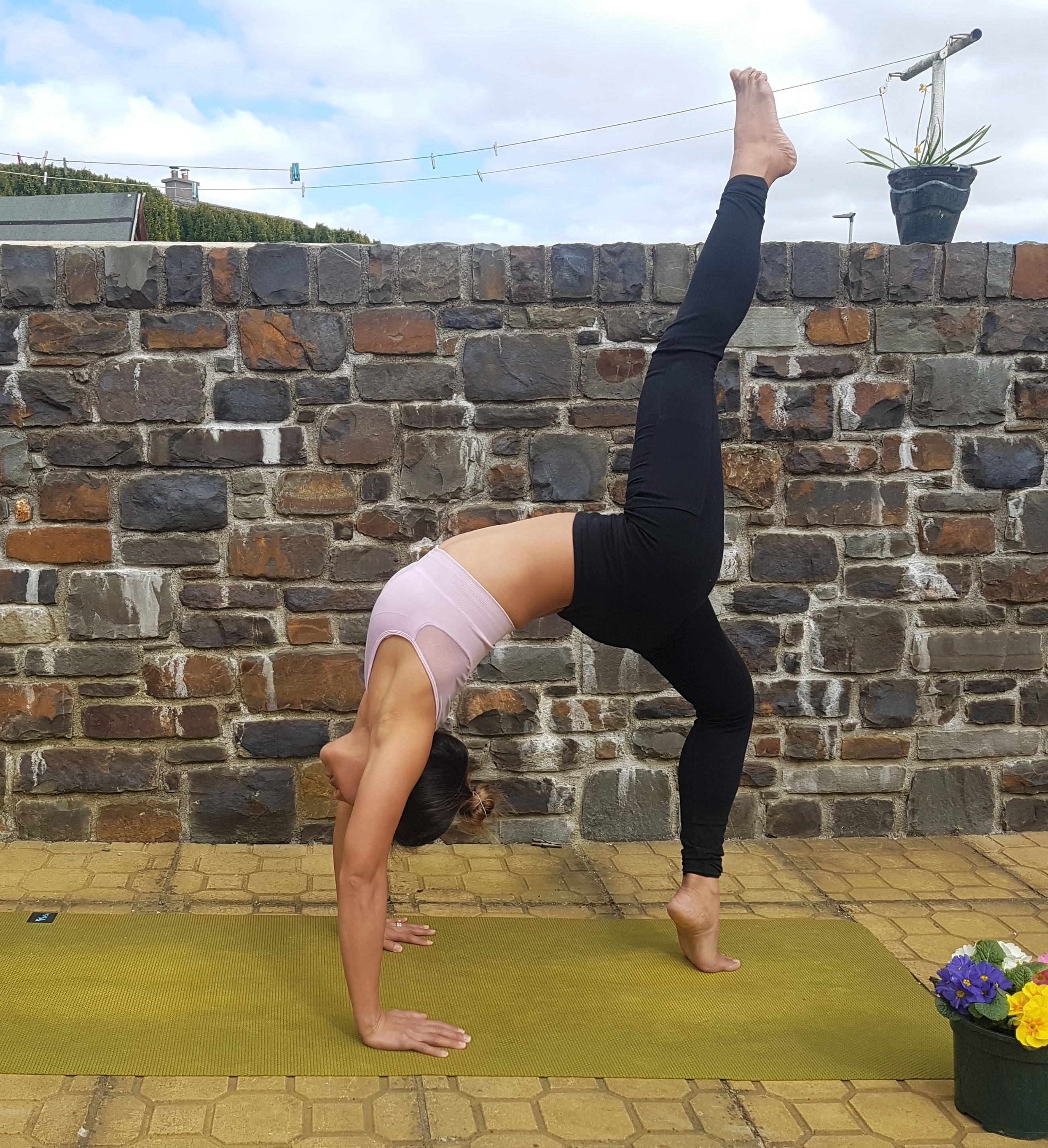 Imagem do fornecedor