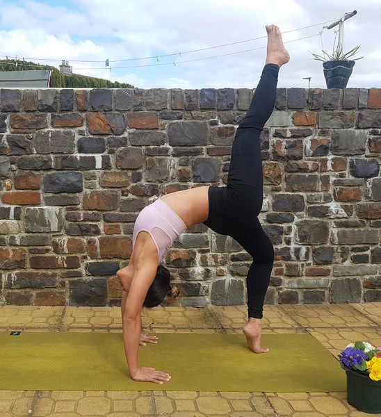 Imagem do fornecedor